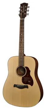Richwood D20E Master Series Westerngitaar met Element