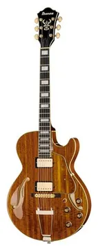 Ibanez AG95K-NT