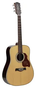 Richwood All Solid Master Series D-265-VA custom shop dreadnought