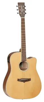 Tanglewood TW5CENA Winterleaf Dreadnought