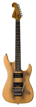 Washburn N24VINTAGE Signature
