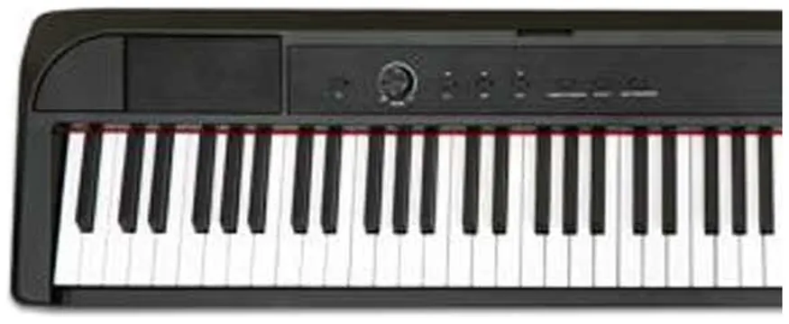 E-Chord DP-1 Black