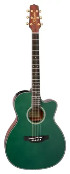 Takamine LTD2025 - Limited Edition 2025
