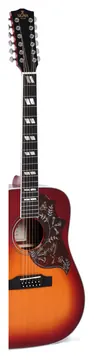 Sigma DM12-SG5 12 String