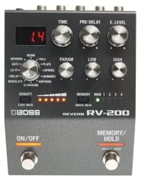 Boss RV-200