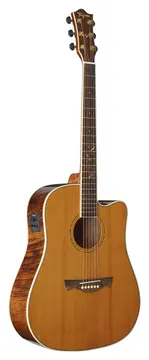 Tagima Florens Okume Flamed FS-200 NT