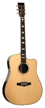 Tanglewood Heritage Series TW1000 HSR CE