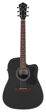 Ibanez V44CE-WK