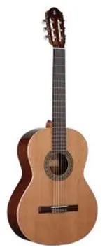 Raimundo R100 Chitarra Classica con Borsa