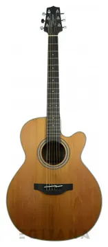 Takamine GN20CE-N
