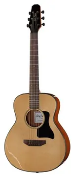 Harley Benton GS-Travel Spruce