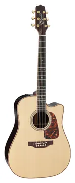 Takamine Japan P7Dc Dreadnought Cutaway