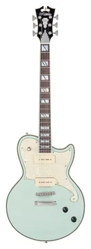 D'Angelico Deluxe Atlantic LE Sage