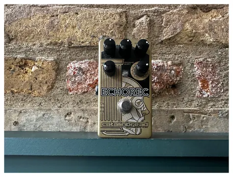 Catalinbread Echorec Delay