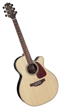 Takamine GN93CENAT