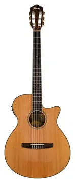 Ibanez AEG10N II-NT