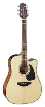 Takamine Folk Gd30 CE