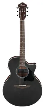 Ibanez AE140-WKH