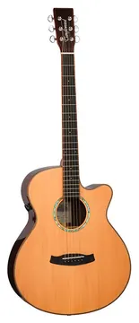 Tanglewood Rosewood Smart TRS4-CE