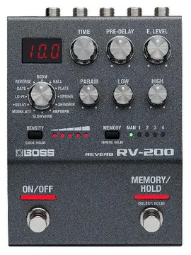 Boss RV-200