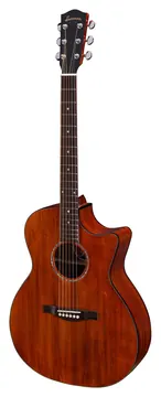 Eastman PCH1 GACE Classic Grand Auditorium met Element Inclusief Gigbag