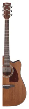 Ibanez AW54CE Artwood Open-Pore Natural
