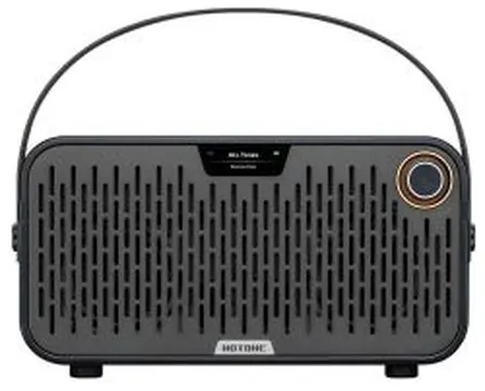 Hotone PULZE JR AP-20BK Portable Modelling Guitar Amp 20W, Black