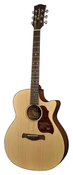 Richwood Master Series G-20-CE handmade grand auditorium guitar