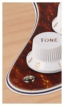 Boston ST-433-T pickguard