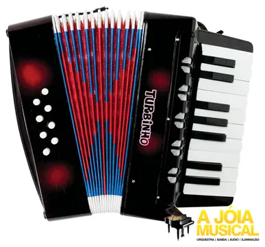 Turbo Music Acordeon Turbinho 08 Baixos Preto