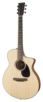 Aguilar Martin SC-10E