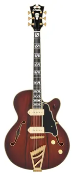 D'Angelico Deluxe 59 Satin-Braun Burst