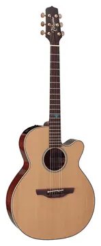 Takamine FSF40C Nex Santa Fe CW Natural Gloss