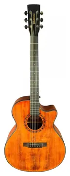 Waldman GCEX-1141 AM Amber com Bag
