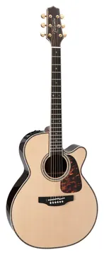 Takamine Nex Cutaway Electro P10NC