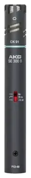Akg C391B