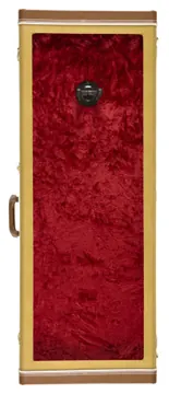 Fender Guitar Display Case TWD