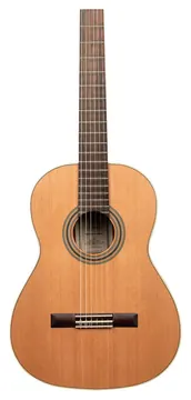 Ortega Traditional 4/4 + Pro Gig Bag
