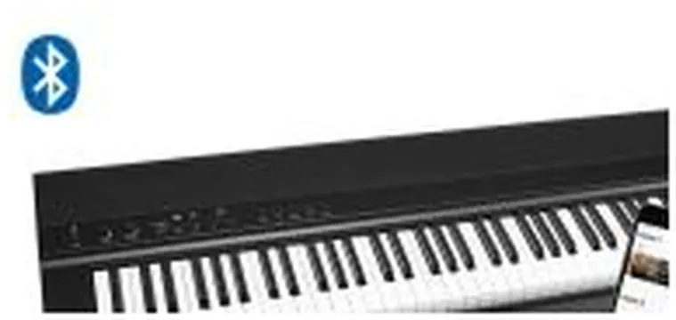 Medeli Performer Series Digital Stage Piano, SP201+/BK - Black