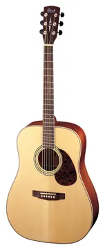Cort Earth 100 Akustikgitarre Natur Gloss
