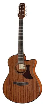 Ibanez AAM54CE-OPN