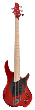 Dingwall LTD NG-3 5-String MN CAR