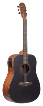 Benson GD100E BKS Genesis Series Folk Aço Natural Fosco C/ Afinador