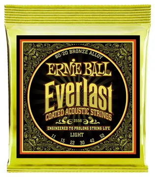 Ernie Ball EB 2558 Everlast Bronze Light