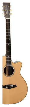 Tanglewood TW45 CE Deluxe