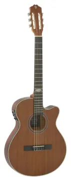 Strinberg Sl200c Mgs Flat Nylon Fosco