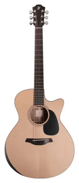 Furch Blue Deluxe Gc-SW With CNR Active Neck System