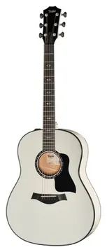 Taylor Custom #5: C17e B5005