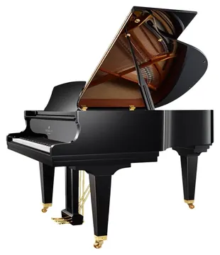 Schimmel Fridolin Schimmel F156T Tradition Vleugel