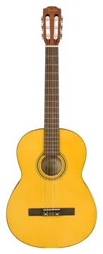 Fender ESC110